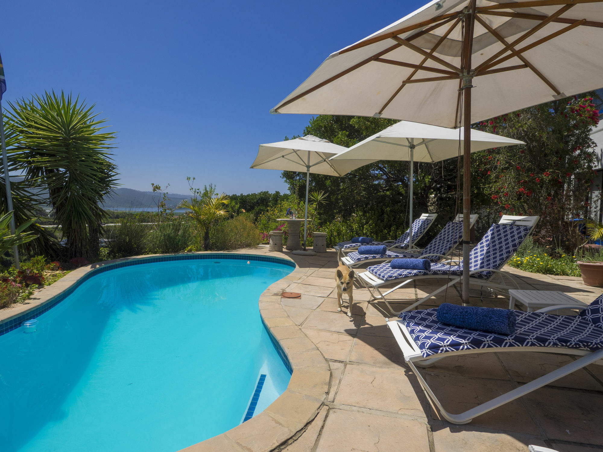 Shining Waters Guest House Уилдернесс Экстерьер фото