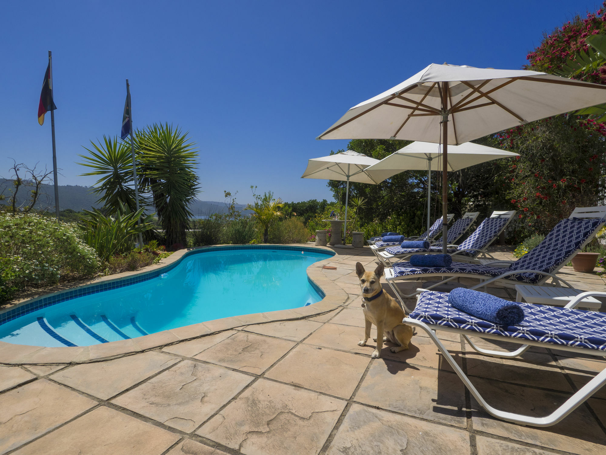 Shining Waters Guest House Уилдернесс Экстерьер фото
